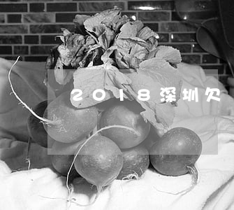 2018深圳欠網(wǎng)貸急上