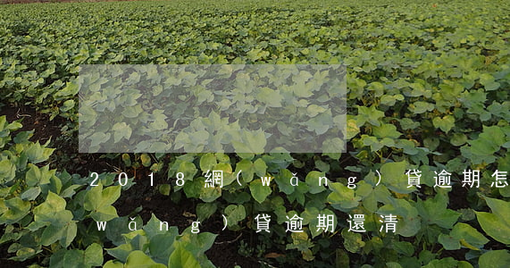 2018網(wǎng)貸逾期怎么還(網(wǎng)貸逾期還清)