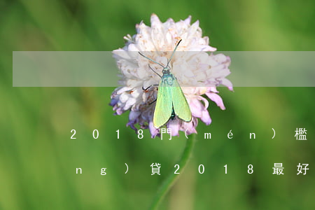 2018門(mén)檻低的小額網(wǎng)貸(2018最好下款的小額網(wǎng)貸)