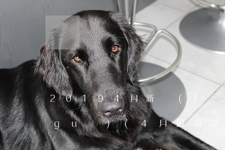 20194月新發(fā)布的法律法規(guī)(4月最新法律法規(guī)有哪些)