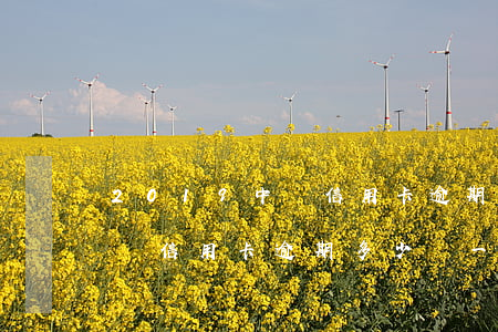 2019中國信用卡逾期多少錢(2019中國信用卡逾期多少錢一年)