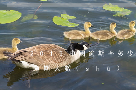 2019中國逾期率多少億(2021年中國逾期人數(shù))