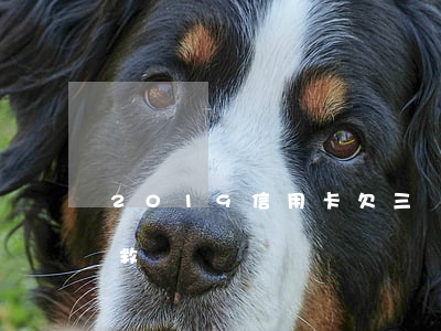 2019信用卡欠三萬(欠信用卡3萬怎么自救)
