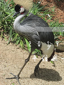 2019信用卡逾期3個月論壇-2021年信用卡逾期三個月