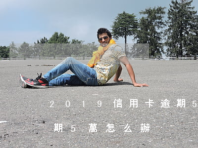 2019信用卡逾期5萬(2019信用卡逾期5萬怎么辦)