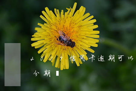 2019信用卡逾期可以分期嗎-逾期不能分期嗎
