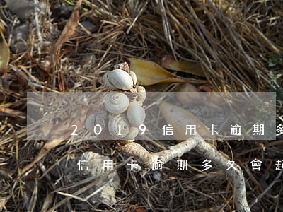 2019信用卡逾期多久會起訴你（2019信用卡逾期多久會起訴你）