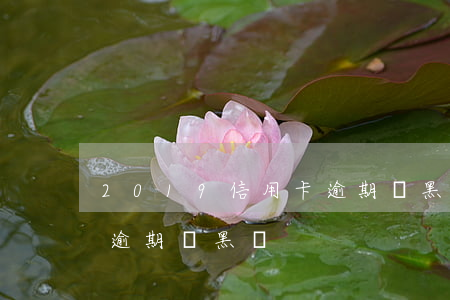 2019信用卡逾期會黑戶(2019信用卡逾期會黑戶)