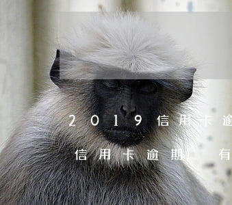 2019信用卡逾期沒有到5萬-2019信用卡逾期沒有到5萬怎么辦