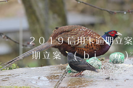 2019信用卡逾期立案(2019信用卡逾期立案標(biāo)準(zhǔn)法律文書溯及力)