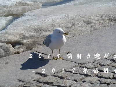 2019信用卡逾期立案标准五万还是一万-2019年信用卡逾期5万以下新规