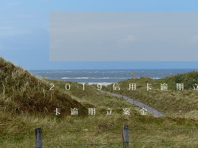 2019信用卡逾期立案金額（2019信用卡逾期立案金額）