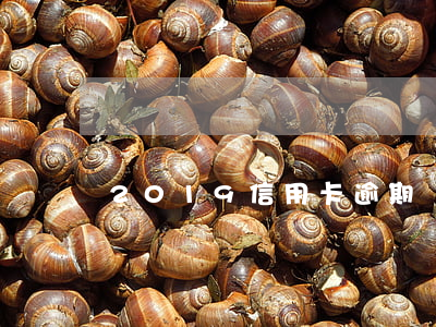 2019信用卡逾期陸豐姓莊名單