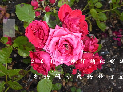 2019修订的法律法规有哪些(我国近两年新颁布或新修订的法律法规有哪些)