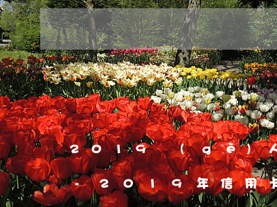 2019個(gè)人信用逾期半年以上的-2019年信用卡逾期半年以上的數(shù)據(jù)