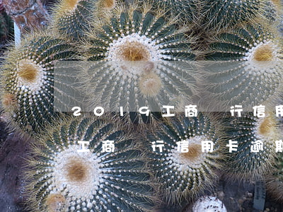 2019工商銀行信用卡逾期率-2019工商銀行信用卡逾期率是多少