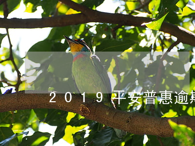 2019平安普惠逾期起訴