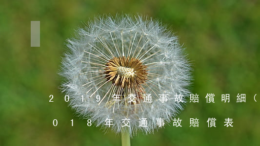 2019年交通事故賠償明細(xì)表(2018年交通事故賠償表)