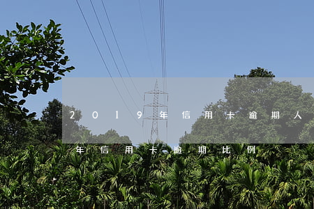 2019年信用卡逾期人数及金额（2019年信用卡逾期比例）
