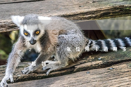 2019年信用卡逾期多久會(huì)被起訴