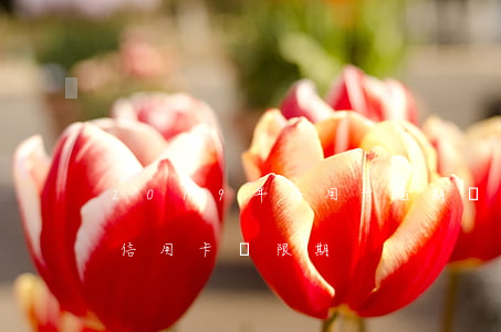 2019年信用卡逾期寬限日-2020年信用卡寬限期