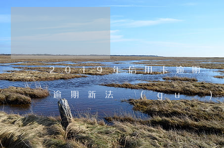 2019年信用卡逾期條例(2019信用卡逾期新法規(guī))