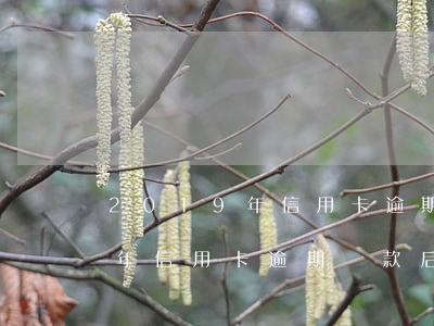 2019年信用卡逾期還款后果-2019年信用卡逾期還款后果是什么