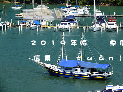 2019年哈爾濱卓信逾期清盤-哈爾濱卓信集團(tuán)