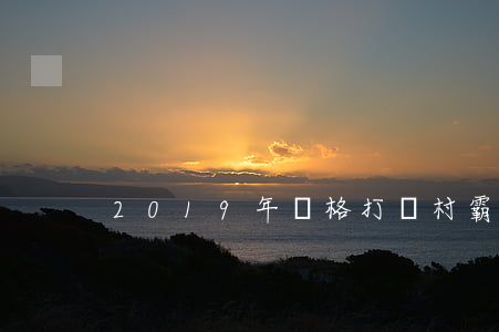 2019年嚴格打擊村霸違法征地拆遷行為