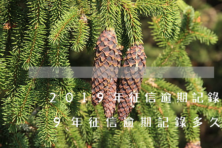 2019年征信逾期記錄多久消除-2019年征信逾期記錄多久消除到2023