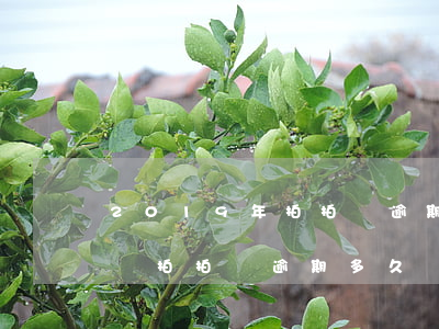 2019年拍拍貸逾期多久會(huì)起訴(拍拍貸逾期多久會(huì)起訴拍拍貸逾期會(huì)上門(mén)嗎?)