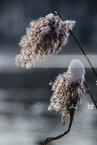 2019年欠网贷想跟家人坦白-欠网贷向家人坦白