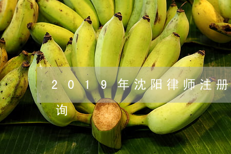 2019年沈阳律师注册(沈阳律师事务所咨询)
