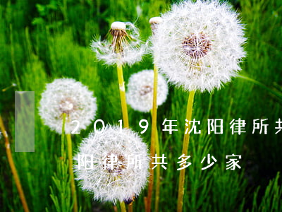 2019年沈阳律所共多少家(2019年沈阳律所共多少家)