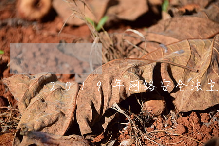 2019年网络安全法主要内容解读