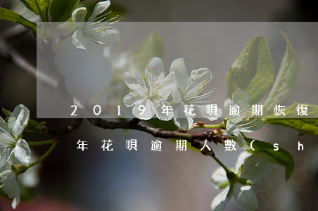 2019年花唄逾期恢復(fù)(2020年花唄逾期人數(shù))