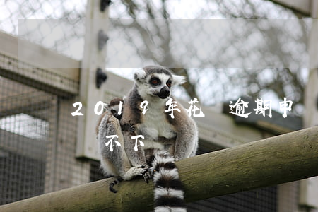 2019年花唄逾期申訴(花唄逾期信用卡申請不下來)