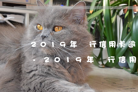 2019年銀行信用卡逾期新規(guī)-2019年銀行信用卡逾期新規(guī)定