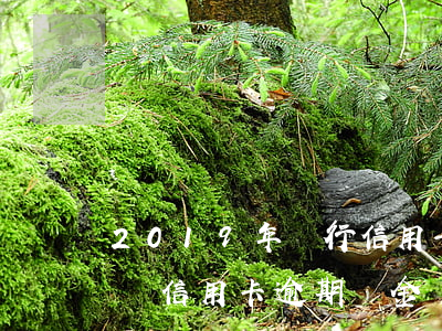 2019年銀行信用卡逾期率(2020年全國信用卡逾期總金額)