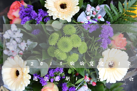 2019拍拍贷逾期12天，警惕！你的拍拍贷还款逾期12天，可能会影响信用记录