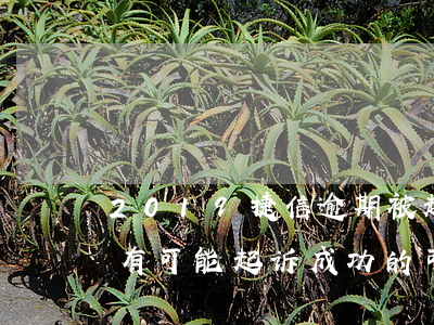 2019捷信逾期被起诉(捷信逾期2年,有没有可能起诉成功的可能)