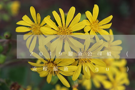 2019最新公司破產(chǎn)重整的流程最新規(guī)定