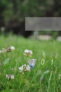 2019最新婚姻法離婚規(guī)定