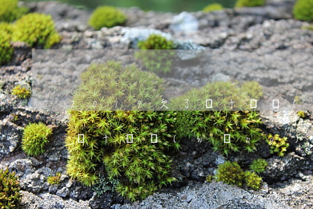 2019欠了幾十萬網(wǎng)貸(欠了幾十萬網(wǎng)貸怎么辦)