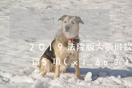2019法院版：大額借款，打借條一定要寫明這5項(xiàng)內(nèi)容！