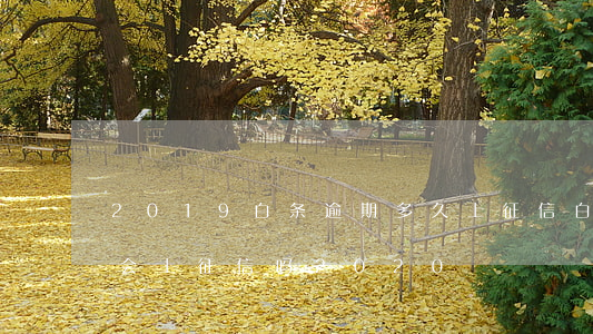 2019白条逾期多久上征信(白条逾期3天会上征信吗2020)