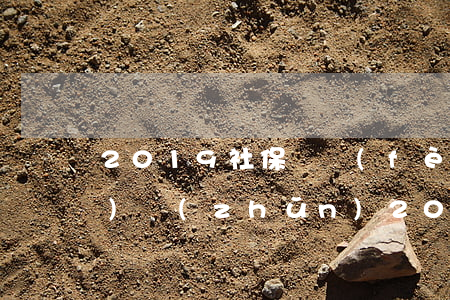 2019社保繳費(fèi)標(biāo)準(zhǔn)(2019社保繳費(fèi)標(biāo)準(zhǔn)機(jī)關(guān)事業(yè)單位)