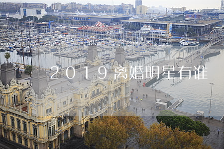 2019离婚明星有谁