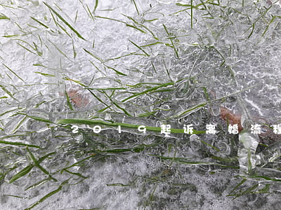 2019起诉离婚流程和费用