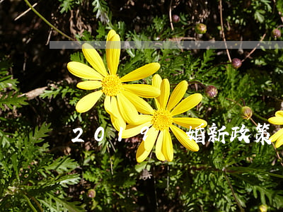 2019離婚新政策